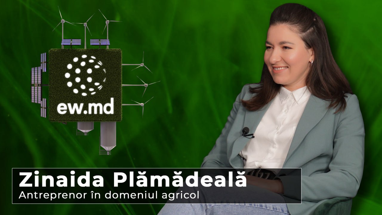 Interviu cu Zinaida Plămădeală - tânăra care dezvoltă o afacere ecologică și eficientizată energetic